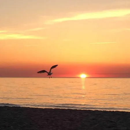 Lejlighed Kuestenwald - Seeigel *