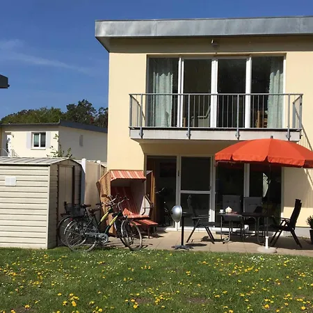 Kuestenwald - Seeigel